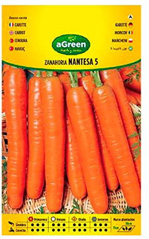 Semi Carota Nantesa 5 su