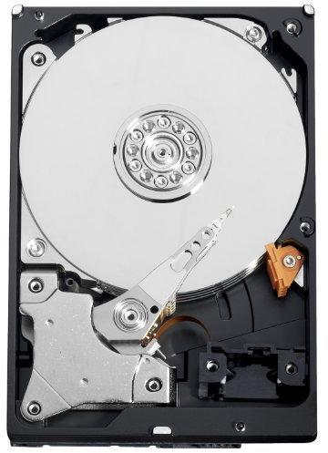 Western Digital WD Caviar Black 1TB 3.5 1000 GB SATA - Disco Duro (3.5, 1000 GB, 7200 RPM)