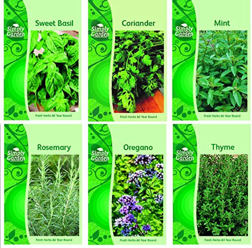 HERB COLLECTION 4- selection of 6 Fresh Herb Seeds Oregano, Coriander, Sweet Basil, Mint, Rosemary & Thyme