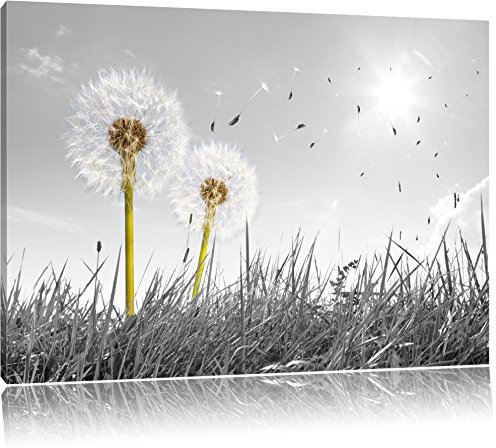 Pixxprint Pusteblumen auf Wiese B&W, Größe: 80x60cm, Leinwandbild, fertig gespannt, Wandbild, Dekoration, Kunstdruck, kein Poster