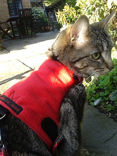 Mynwood Cat Jacke/Geschirre graue Leopard Pelz Erwachsene Katze ausbruchsicher