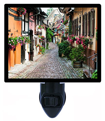 Night Light, Alsace, France, French, Flower and Garden