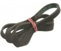 Engine Belt 1906H8 EL for Tumble Dryer and Washing Machine
