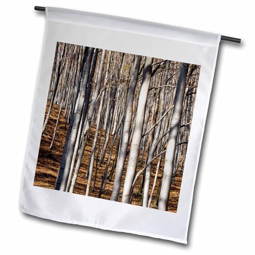 3dRose Common Beech Trees, Buekk National Park, Hungary - EU13 Mzw0380 - Martin Zwick - Garden Flag, 12 x 18-Inch (fl_137396_1)