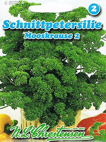 Schnittpetersilie 'Mooskrause 2' aufgerechter, geschlossener Wuchs