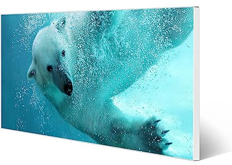 banjado Magnettafel weiß 78 x 37cm / Magnetwand Metall/Magnetpinnwand als Memoboard/Pinnwand Magnettafel Küche, Büro, Kinderzimmer inkl. 4 Magnete & Montageset - Motiv Tauchender Eisbär