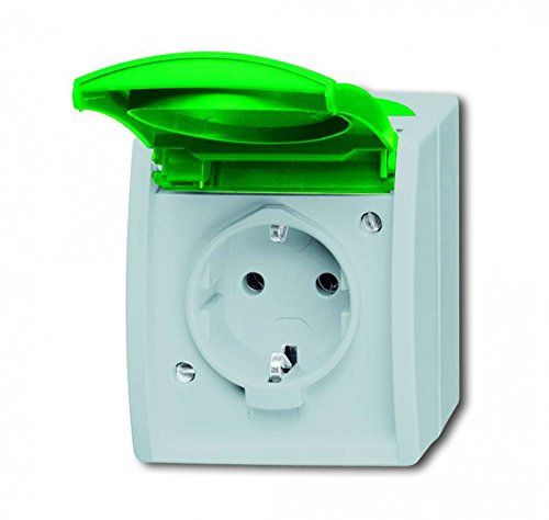 Busch-Jaeger 20 EWN-13-53 SCHUKO® Steckdose mit grünem Klappdeckel (Thermoplast) Grau ocean® (IP 44) 2CKA002083A0819