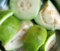Fruta de guayaba Psidium guajava tropical exótica árbol de guayaba comestible 30 SEMILLAS Blanco-