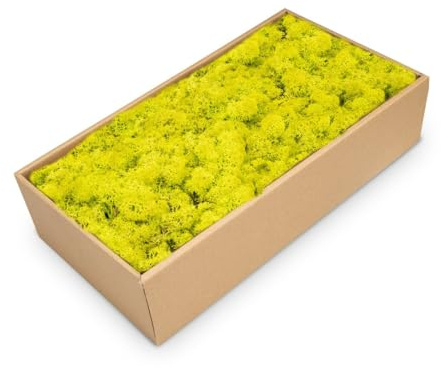 NaDeco Islandmoos Apfelgrün, konserviert, verpackt im Karton mit ca. 500g | Moos zum Basteln und Dekoration | Moosbild selber Machen | Rentier Moos | Rendier Moos | Deko Moos | Bastel Moos | Dekomoos