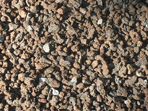 Der Naturstein Garten Alwe Lava Mulch aus der Vulkaneifel – Robustes Naturprodukt (Körnung 2–8 mm) für Garten, Dachbegrünung und Drainage - 25 kg