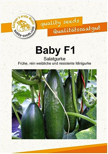 Gurkensamen Baby F1 Portion