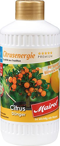 Mairol Citrus-Dünger Citrusenergie Liquid 500 ml