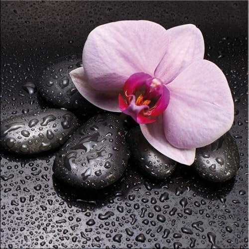 artissimo Glasbild 30x30 cm Orchidee & Zen-Steine AG9138A – Bild aus Glas, Spa & Zen Wandbild, ruhige Wanddeko für Wellness & Yoga
