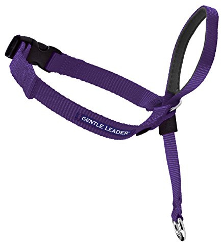 PetSafe Gentle Leader No-Pull Dog Headcollar - The Ultimate Solution to Pulling - Redirects Your Dog's Pulling for Easier Walks - Helps You Regain Control - Medium, Deep Purple
