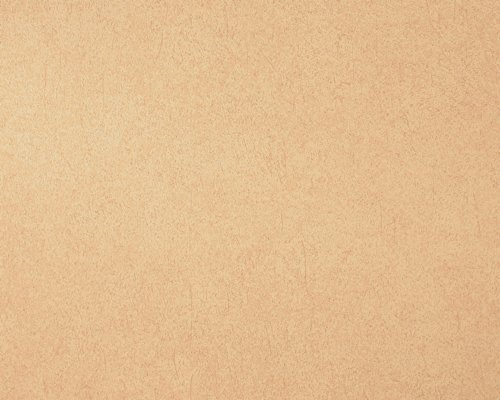 100320 Livingwalls 540669 Tapete Vlies Uni Struktur Putz Sand Beige