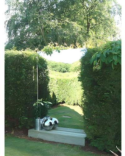 Primrose Reflect Acrylic Garden Outdoor Non Shatter Mirror Sheet - Medium Rectangle (4ft x 2ft)