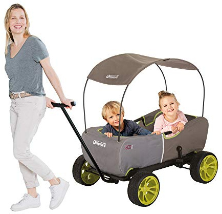 hauck transportvagn Eco Mobil, för två barn, från och med 2 år, klarar upp till 50 kg, stabil, tippsäker, hopfällbar, parkeringsbroms, fjädrad, löstagbar dragstång, soltak, vadderad dyna, Forest