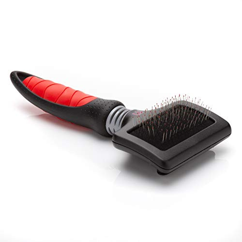 Mikki Brosse Carde Nifty Petite pour Chien