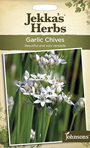 Johnsons - Jekka's Herbs - Pictorial Pack - Garlic Chives - 300 Seeds