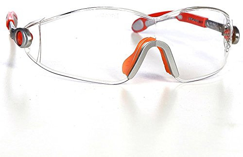Deltaplus VULCANO2 Clear Goggles Deltaplus