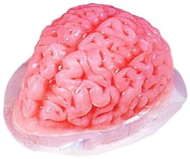 Horror-Shop Puddingform Gehirn aus Kunststoff, Rosa, 1,5 Liter, 49 Gramm, 18,5 x 10 x 10 cm