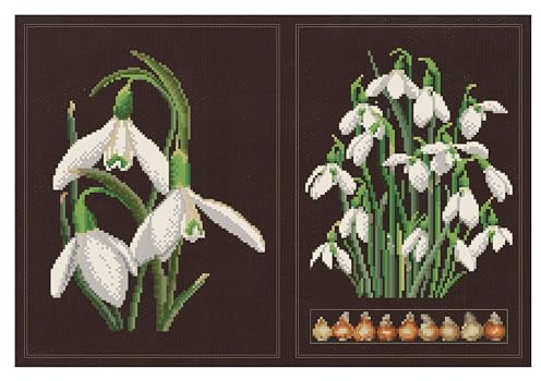 Thea Gouverneur - Counted Cross Stitch Kit - Snowdrops Panel - Aida Black - 18 Count - Embroidery Kit for Adults - DMC Embroidery Threads and Other Cross Stitch Supplies Included - 446.05