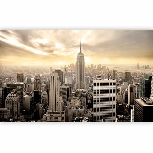 Fotomurale Soggiorno - Carta da parati 450x270 cm TNT Murale alla moda Decorazione da Muro XXL Poster Gigante Design Cameretta Carta per pareti Camera da Letto New York 100604-14