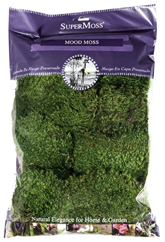 SuperMoss (21539) Mood Moss Preserved, 200 Cubic Inch Bag (Appx. 8oz), Fresh Green