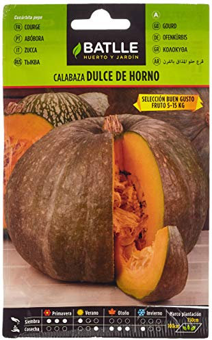 Calabaza Dulce horno BUEN GUSTO