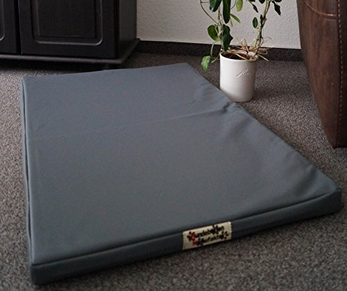 Hundebettenmanufaktur Orthopädische Hundematratze mit Antiallergischer Kokosmatte Hundebett aus Kunstleder für Hunde Größe und Farbe Wählbar (120 cm x 90 cm, Grau)