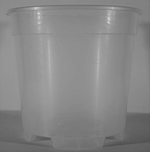 VASO TRASPARENTE IN PLASTICA IDEALE PER LE ORCHIDEE IN CONFEZIONE DA 6 PEZZI (21 Centimetri, 19 Centimetri)
