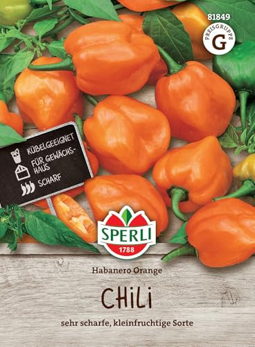 Sperli Chilisamen Habanero Orange 81849 – Sehr scharfe und kleinfruchtige Sorte - Inhalt für 12 Pflanzen - Samen Gemüse, Gemüsesamen, Saatgut, Gemüsepflanzen