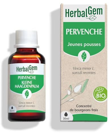 HerbalGem Macérât-Mère Pervenche Bio 30 ml | Agit sur la circulation cérébrale, soutien de la mémoire et de la concentration. Vegan. Extrait de bourgeon frais.