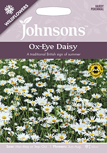 Johnsons 13561 Flower Seeds, Ox-Eye Daisy, White