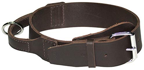 Dingo Halsband für große Hunde Halsband aus gewachstem Leder mit Griff aus natürlichem Rindsleder, Soft-Leder-Kollektion 2,5 x 65 cm Halsgröße 49-60 cm 13103