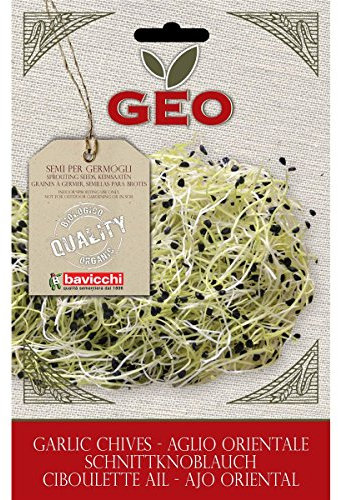 Geo Graine à Germer Ciboulette Ail Brun 12,7 x 0,7 x 20 cm