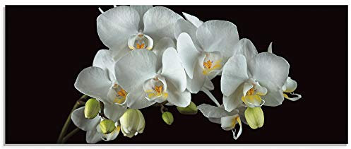 ARTland Wanddeko Glasbilder Wandbild Glas Bild einteilig 125x50 cm Querformat Natur Blumen Blüten Orchideen Botanik Floral T5SR