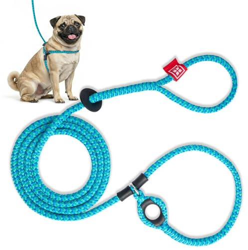 Harness Lead No Pull Dog Harness and Leash Set, Anti Pull Dog Harness for All Breeds and Sizes, One-Piece Cushioned Rope Design Safely Prevents Escaping and Pulling (Small/Medium, Blue/Multi)