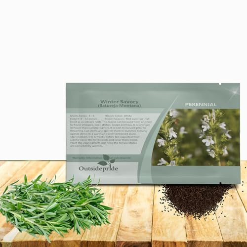 Outsidepride Winter Savory Seeds - 5000 Pcs Perennial Culinary Herb Seeds for Planting with Aromatic Leaves, Drought Tolerant & Compact for Container, Raised Bed, & Kitchen Herb Garden