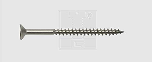 SWG TX Schraube A2 6,0X100 F.BIT TX25 (100)