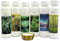 Set Infusione Sauna 'Classico' 6 x 125ml + Gratis 10g Mentolo