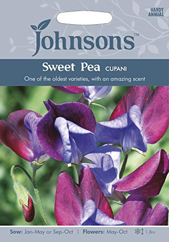 Johnsons Seeds - Pictorial Pack - Flower - Sweet Pea Cupani - 20 Seeds