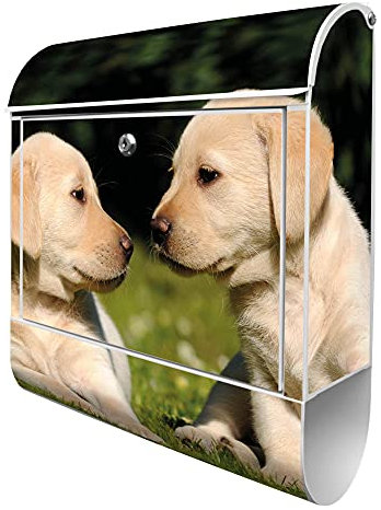 banjado® Design Briefkasten mit Labrador 38,5x46,5x13cm & 2 Schlüssel - Briefkasten Stahl weiß mit Zeitungsfach pulverbeschichtet - Postkasten A4 Einwurf inkl. Montagematerial