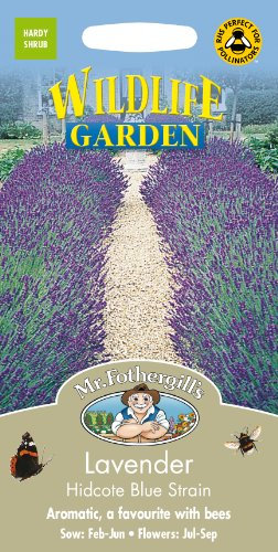 Mr Fothergill's 22324 Flower Seeds, Lavender Hidcote Blue