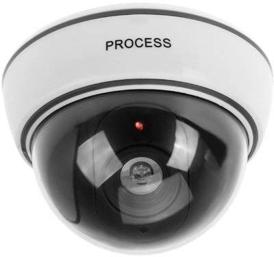 BW Finta telecamera di sorveglianza dome