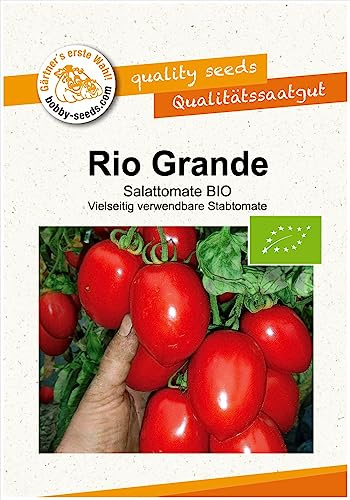 BIO-Tomatensamen RIO Grande Portion