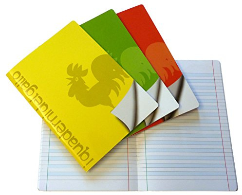 I Quaderni del Gallo 4 carnets spéciaux pour dysgraphie et dyslexie avec des lignes divisées en cinq (C)