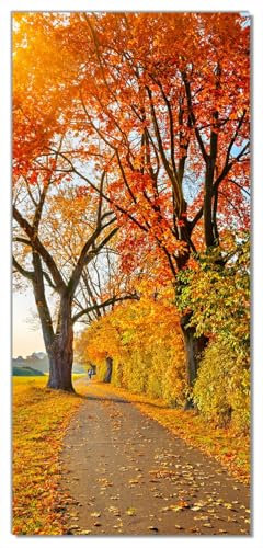 Wallario Selbstklebende Türtapete Herbstlicher Waldweg mit Buntem Laub - Türposter 93 x 205 cm Abwischbar, rückstandsfrei zu entfernen