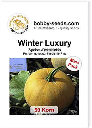 Winter Luxury Kürbissamen von Bobby-Seeds, 50 Korn