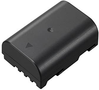 Panasonic Lumix DMW-BLF19E Batterie rechargeable, 7.2V, 1860mAh, 13.4Wh pour Lumix GH5, GH5S, G9, GH4, GH4R - Noir